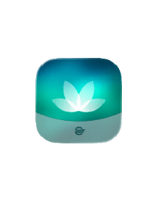 Cerner Healthlife Portal Logo